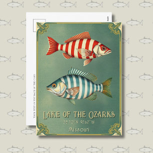 Lake of the Ozarks Missouri fish Postcard