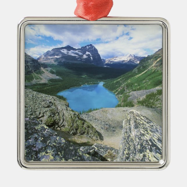 Lake O'Hara, Yoho NP, BC, Canada Metal Tree Decoration (Front)