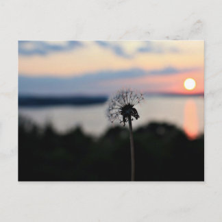 LAKE OZARK FLOWER POSTCARD