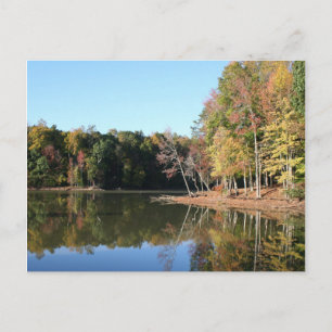 Lake Reflection of Orange Fall Leaves & Blue Skies Postcard