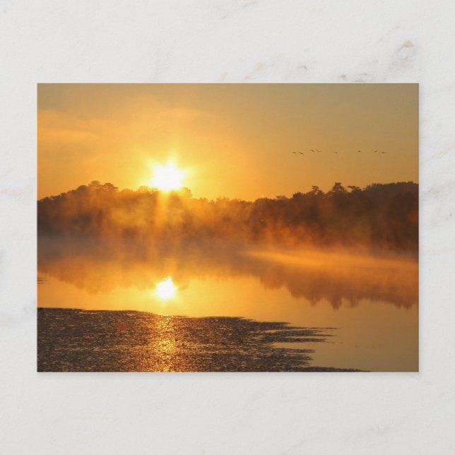 Lake Reflection Sunrise Postcard (Front)