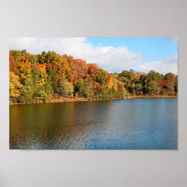 Lake Russell Fall Colors Poster (Front)