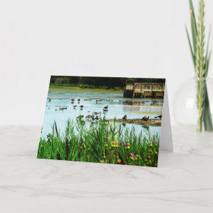 Lake Scene with Cattails Ducks and Dock Card