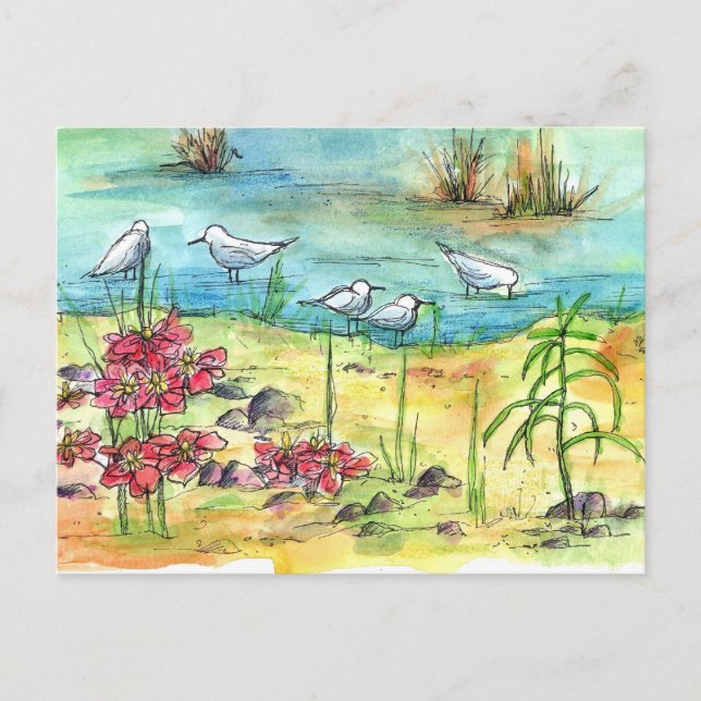 Lake Shore Birds Seagulls Watercolor Pond Flowers Postcard (Front)