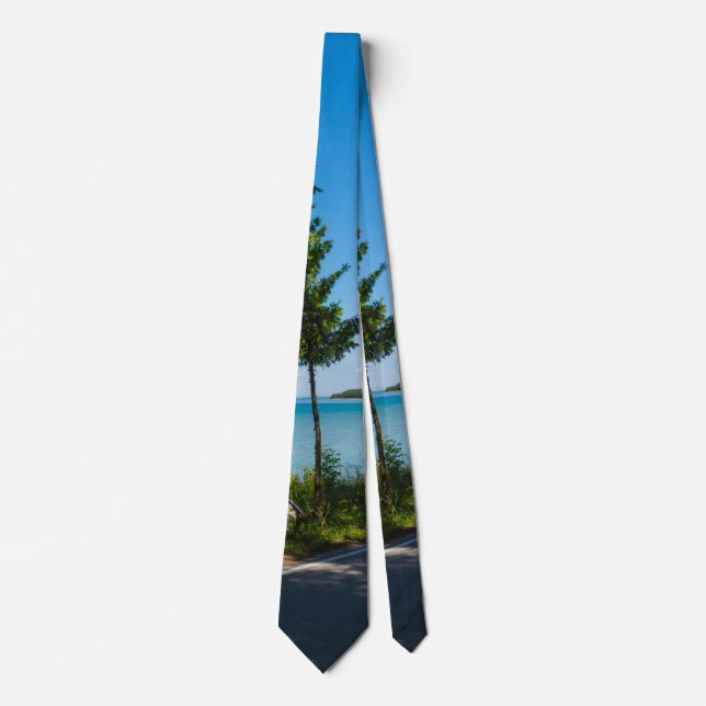 Lake Shore Drive Paradise Neck Tie (Front)