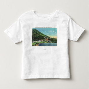 Lake Stevens View of the Toll House Toddler T-Shirt