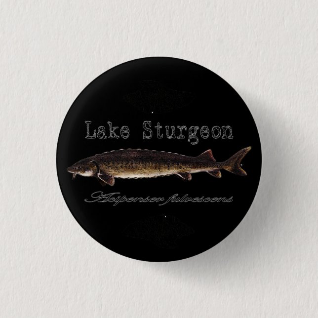 Lake Sturgeon 3 Cm Round Badge (Front)