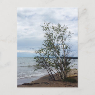 Lake Superior postcard