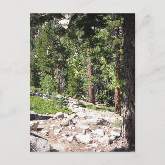 Lake Tahoe Postcard (Front)