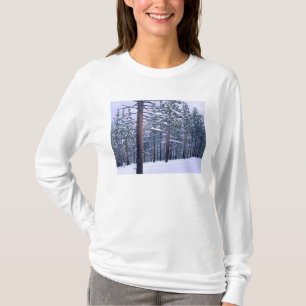 LAKE TAHOE STATE PARK, NEVADA. USA. Fresh snow T-Shirt