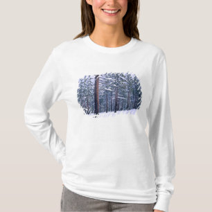 LAKE TAHOE STATE PARK, NEVADA. USA. Fresh snow T-Shirt