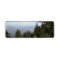 Lake Tahoe with pine trees