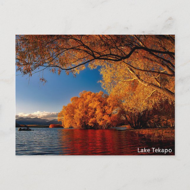 Lake Tepako,New Zealand Postcard (Front)