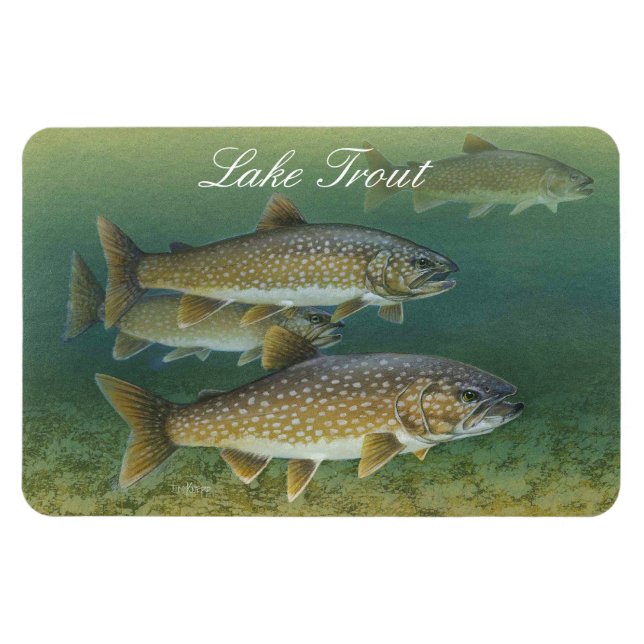 Lake Trout Painting Magnet (Horizontal)