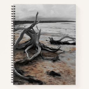 Lake Tyrrell Natural Forces Notebook