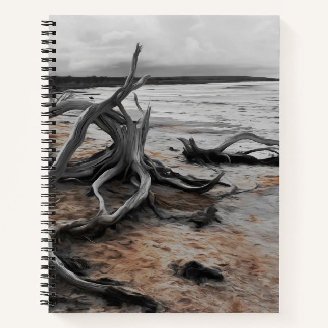 Lake Tyrrell Natural Forces Notebook (Front)