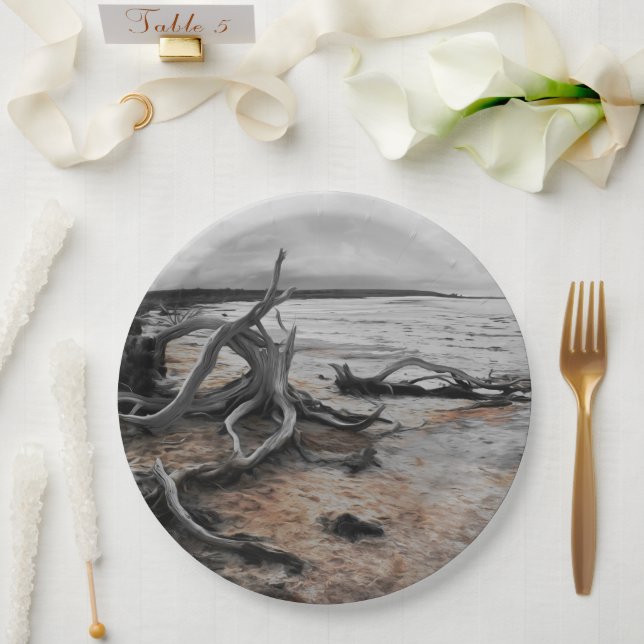 Lake Tyrrell Natural Forces Paper Plate (Wedding)