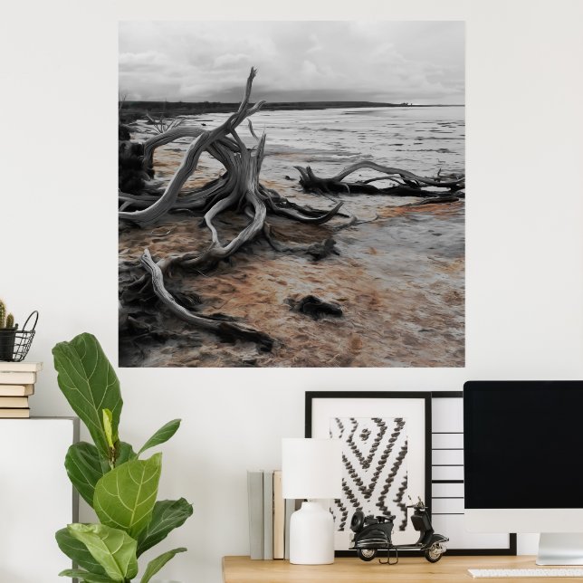 Lake Tyrrell Natural Forces Poster (Home Office)