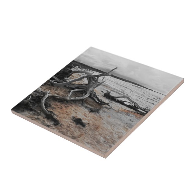 Lake Tyrrell Natural Forces  Tile (Side)