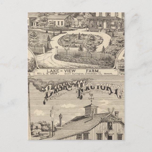 Lake View Farm in South Burlington Postcard (Front)