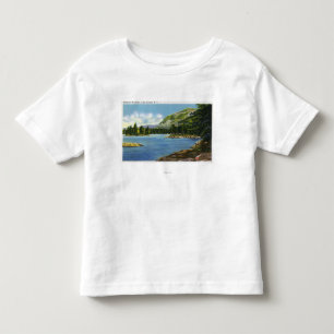 Lake View of Elephant Mountain Toddler T-Shirt