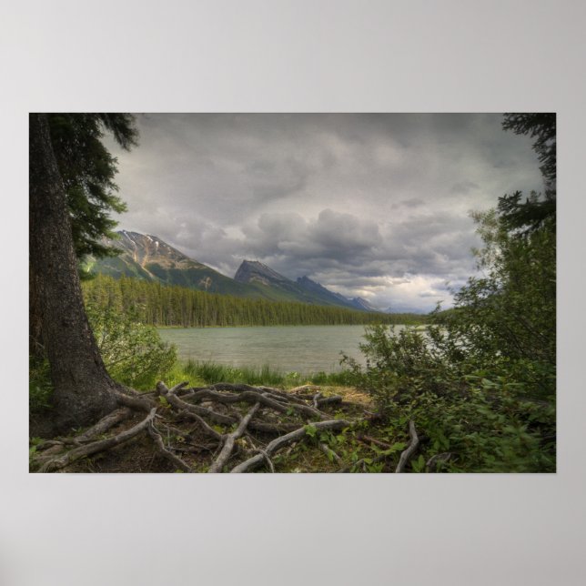Lake View Poster (Front)
