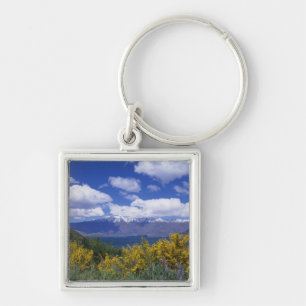 Lake Wakatipu and the Remarkables, Queenstown, Key Ring