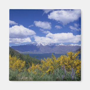 Lake Wakatipu and the Remarkables, Queenstown, Magnet