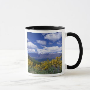Lake Wakatipu and the Remarkables, Queenstown, Mug