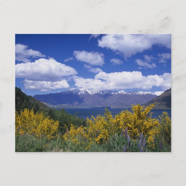 Lake Wakatipu and the Remarkables, Queenstown, Postcard (Front)