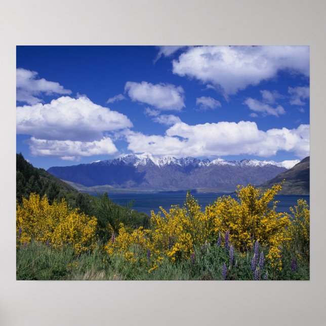 Lake Wakatipu and the Remarkables, Queenstown, Poster (Front)