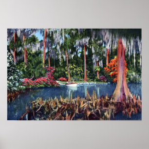 Lake Wales Florida Cypress Swamp and Boat Poster