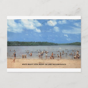 Lake Wallenpaupack White Beauty View Vintage Postcard