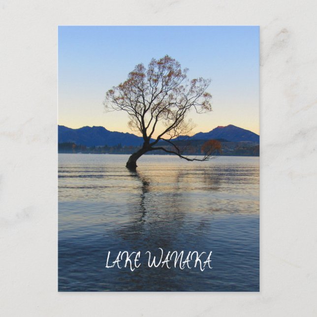 lake wanaka new zealand postcard (Front)