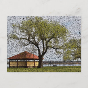 Lake Wendouree Pavilion Ballarat Postcard
