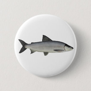 Lake Whitefish Button