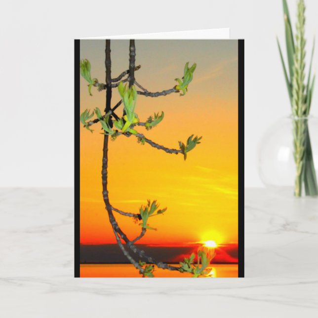 Lake Winnebago Sunset Thinking Of You Card (Front)