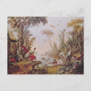 Lake with geese, storks, parrots and herons postcard