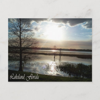Lakeland, Florida 012 Post Card