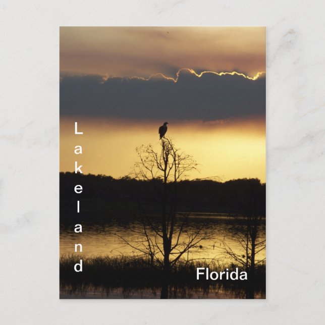 Lakeland Florida Sunset 139 Postcard (Front)