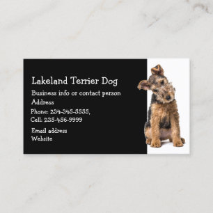 Lakeland Terrier Dog Breeder Pet Sitter Business Card