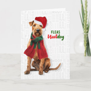 Lakeland Terrier Dog Funny Fleas Navidog Christmas Holiday Card