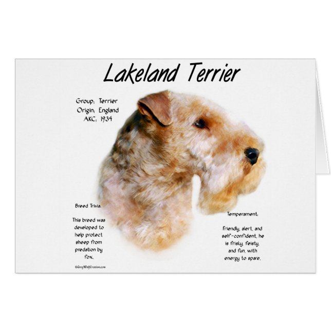 Lakeland Terrier History Design (Front Horizontal)