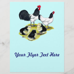 Lakenvelder Chicken Family Flyer