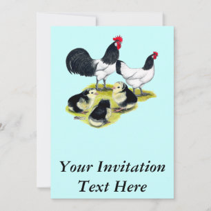 Lakenvelder Chicken Family Invitation