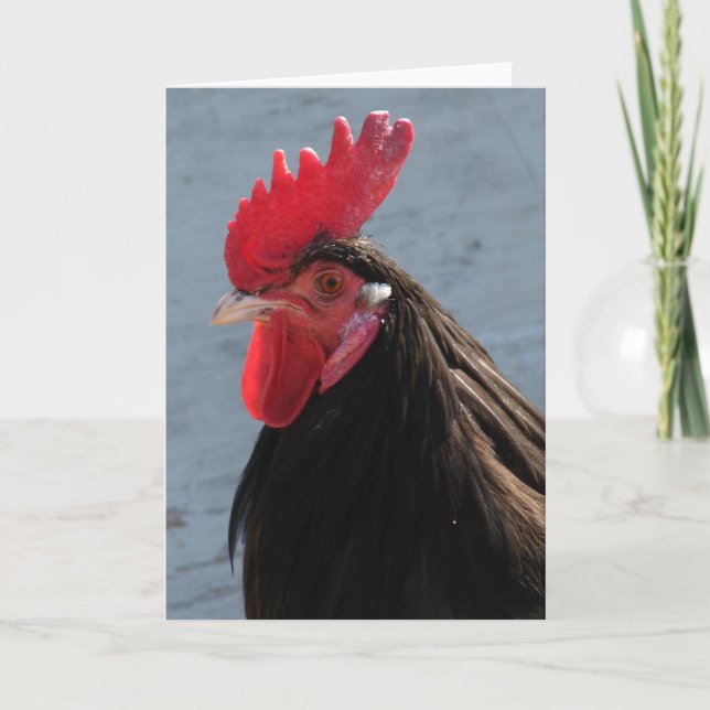 Lakenvelder Rooster Card (Front)