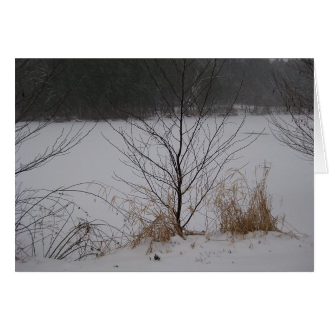 Lake's Edge, Winter (Front Horizontal)