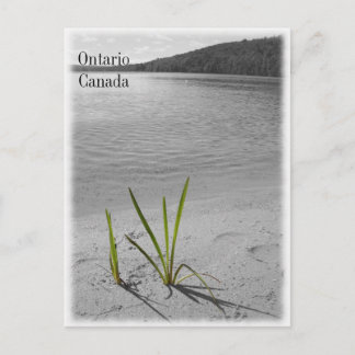 Lakes of Ontario, Canada Postcard Black & White