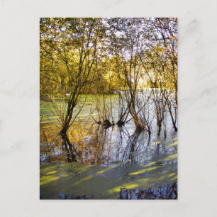 LAKES POSTCARD