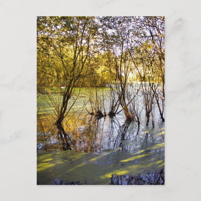 LAKES POSTCARD (Front)